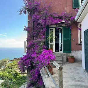 Appartamento Amazing Flat At The Heart Of 5 Terre National Park, Vernazza